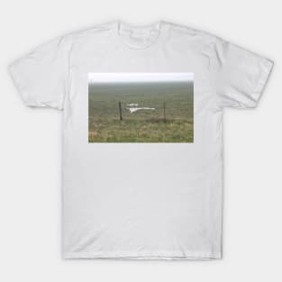 Old Fence in the Fog T-Shirt